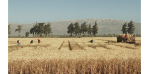 ‘Wild Relatives’ screening
