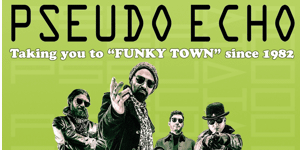 Pseudo Echo