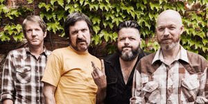 The Meanies