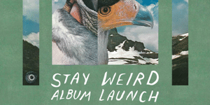 The Rookies 'Stay Weird' Launch