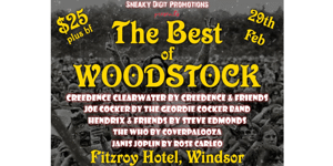 THE BEST OF WOODSTOCK