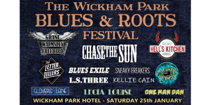 The Wickham Park Blues & Roots Festival