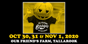 Boogie 14