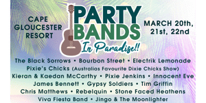 PARTY BANDS IN PARADISE