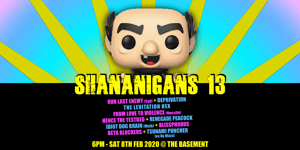 Shananigans 13