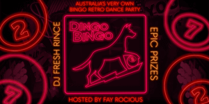 Dingo Bingo
