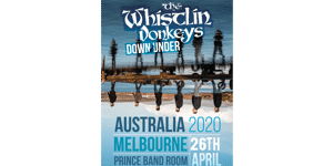 THE WHISTLIN' DONKEYS (IRE)