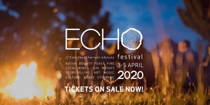 Echo Festival 2020