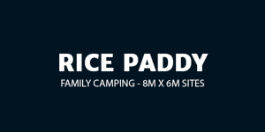Rice Paddy