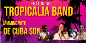 Miami Club 2 -TROPICALIA BAND