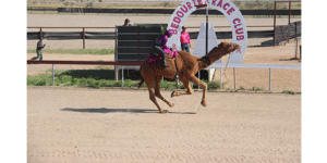 Bedourie's Dusty Doers Dance