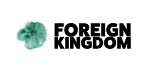 Foreign Kingdom Single Launch