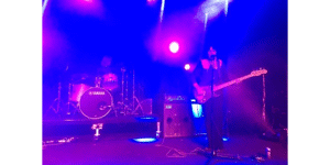 Thistleswitch
