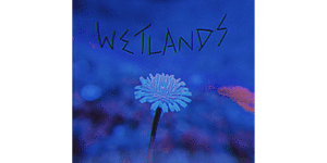 WETLANDS Self-Titled EP Launch
