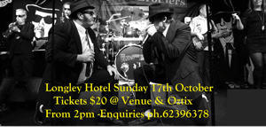 Blues Brothers Revival Band