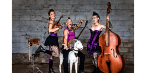 The Hillbilly Goats