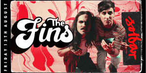The Fins