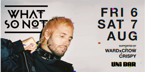 What So Not - Friday Show
