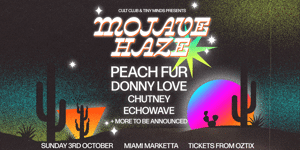 Mojave Haze (w/ Peach Fur, Donny Love + More)