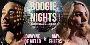 BOOGIE NIGHTS - A Funk & Disco Celebration (Vol. 2)