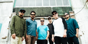 The Black Seeds