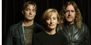 Spiderbait