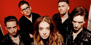 Marmozets