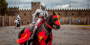 Keith Ryall Memorial Jousting Tournament