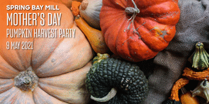 Mother’s Day Pumpkin Harvest Party
